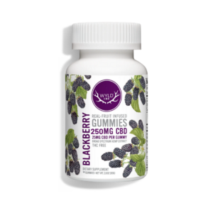WYLD Blackberry CBD Gummies 250mg - THC Free (10 Count)