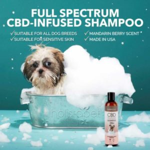 Shampoo for Dogs 200mg CBD